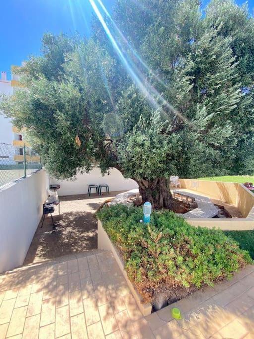 Your Holiday Home - Albufeira Zewnętrze zdjęcie